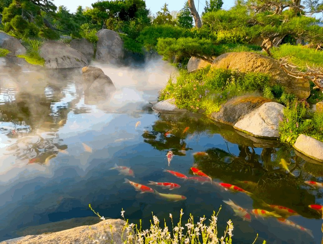 北京罗红摄影艺术馆(庭院篇)～ "温润心灵